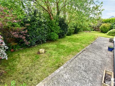 Picture 20